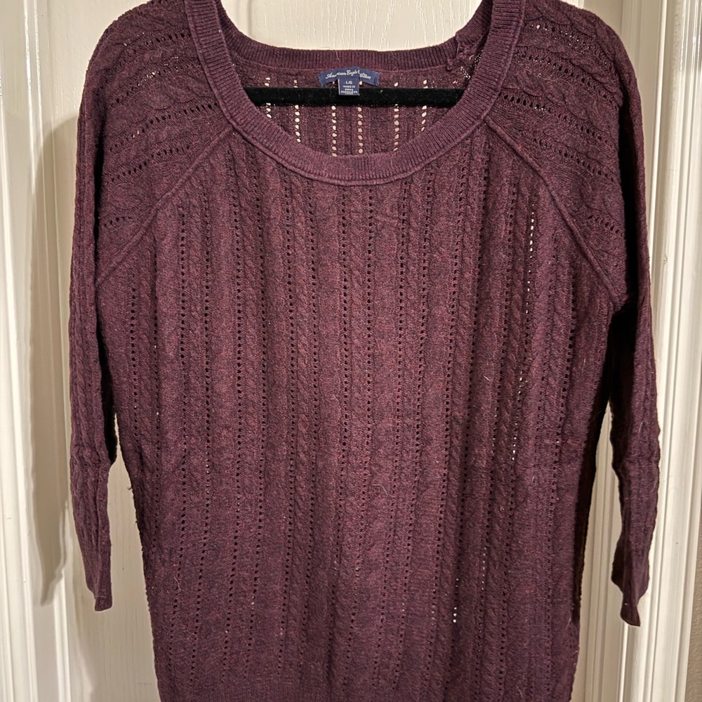 American Eagle Outfitters Maroon Crew Neck Sweater